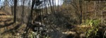 resIMG_20191128_112915_6149.jpg